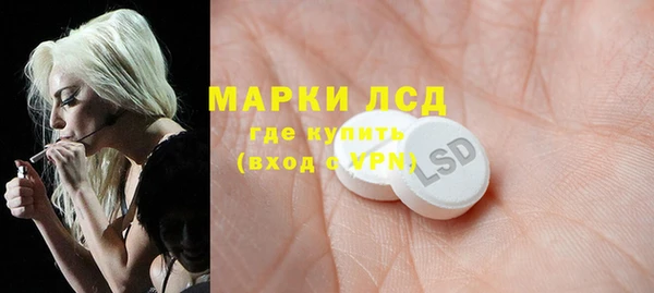 прущие грибы Нязепетровск