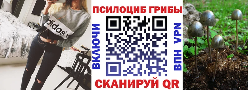 Галлюциногенные грибы мухоморы  мега как зайти  Баймак  где купить наркоту 